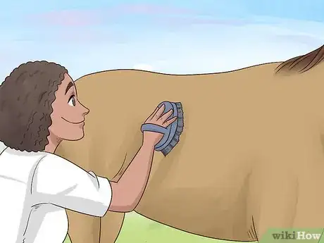 Image titled Put a Saddle On Step 2