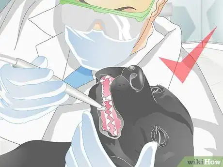 Image titled Choose Tartar Control Dog Treats Step 7