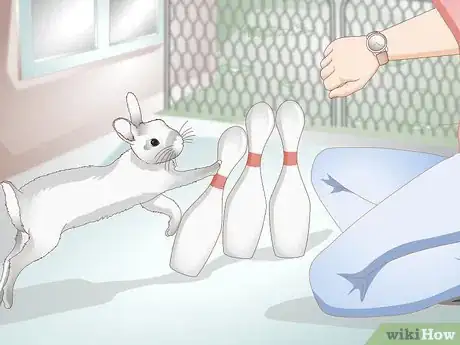 Image titled Spoil Your Pet Rabbit Step 7
