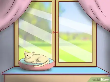 Image titled Create More Space for Your Cat Step 7