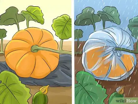 Image titled Make a Small Vegetable Garden Step 18