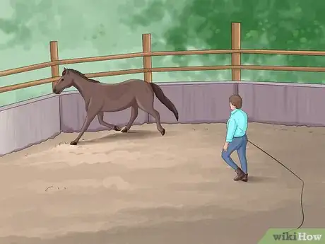 Image titled Join Up With a Horse Step 8