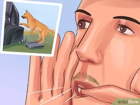 Image titled Get a Dog Out of a Busy Road Step 5