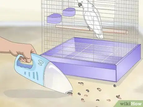 Image titled Clean a Cockatoo Cage Step 4