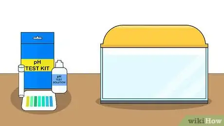 Image titled Plant an Amazon Sword Plant Step 1