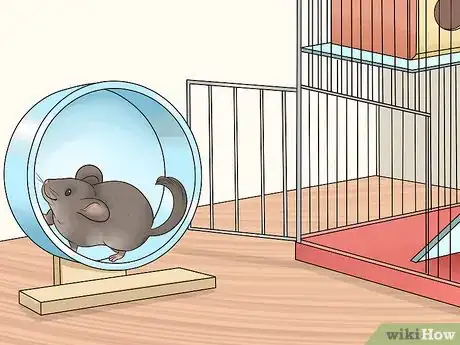 Image titled Keep Chinchillas Safe from other Pets Step 8