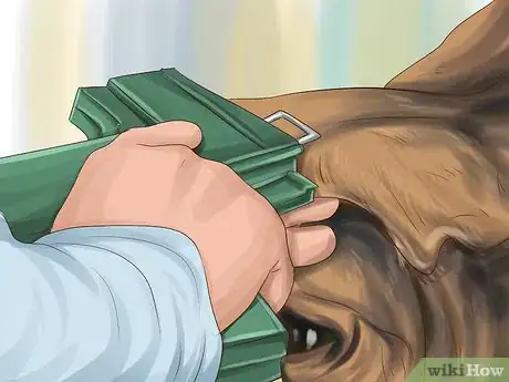 Image titled Give Cattle Hormones Step 10