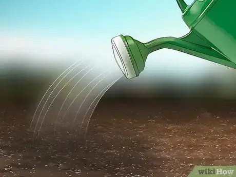 Image titled Grow Endive Step 8