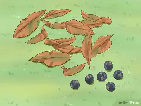 Image titled Protect Your Pets from Summertime Pests Step 2