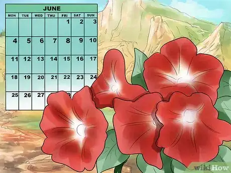 Image titled Grow Morning Glories Step 15