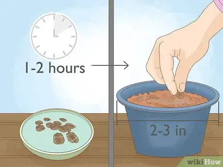 Image titled Buy Rhubarb Step 8