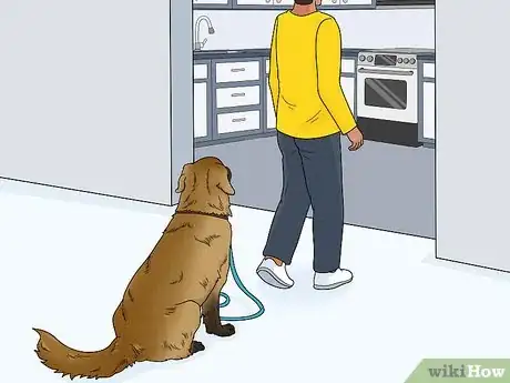Image titled Keep a Dog Out of the Kitchen Step 5