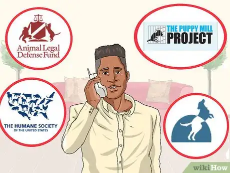 Image titled Help Shut Down Puppy Mills Step 8