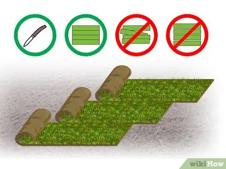 Image titled Grow Centipede Grass Step 13