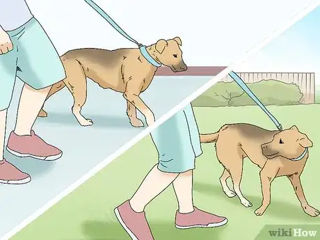 Image titled Walk a Dog on a Leash Step 10