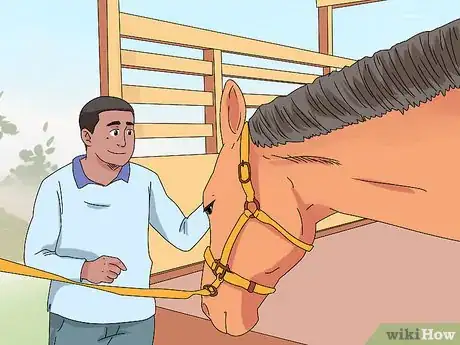 Image titled Pull a Horse's Mane Step 12