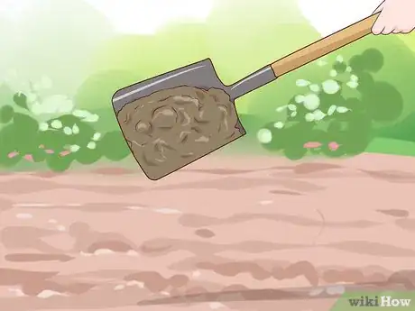 Image titled Grow Your Own Bouquet Step 9