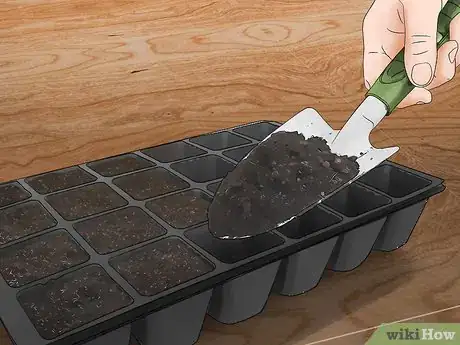 Image titled Grow Jalapenos in a Pot Step 11