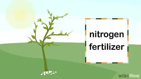 Image titled Grow Lemon Myrtle Step 11