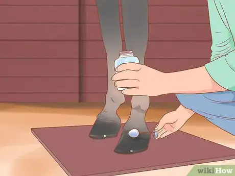 Image titled Groom a Horse for a Show Step 24