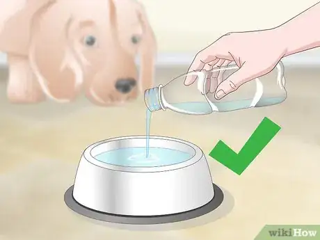 Image titled Improve the Quality of Your Pet's Drinking Water Step 7