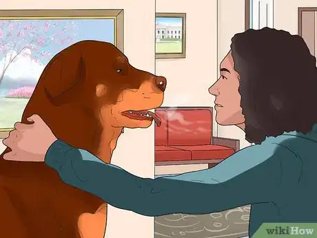 Image titled Prevent Canine Periodontal Disease Step 7