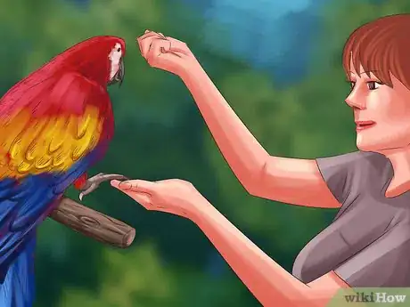 Image titled Stop a Greenwing Macaw from Biting Step 6