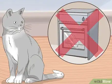Image titled Keep a Cat Safe Step 1