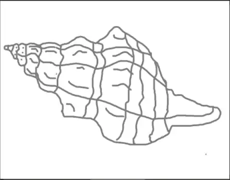 Image titled Drawaconchstep8.png
