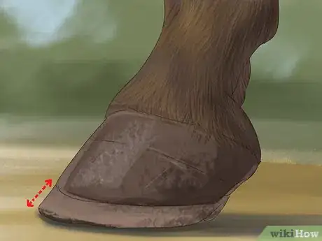 Image titled Know if Your Horse Needs Shoes Step 13
