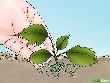 Image titled Grow Deadly Monkshood Step 7