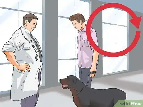 Image titled Care for Rottweilers Step 12