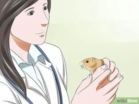 Image titled Treat Dental Problems in Gerbils Step 4