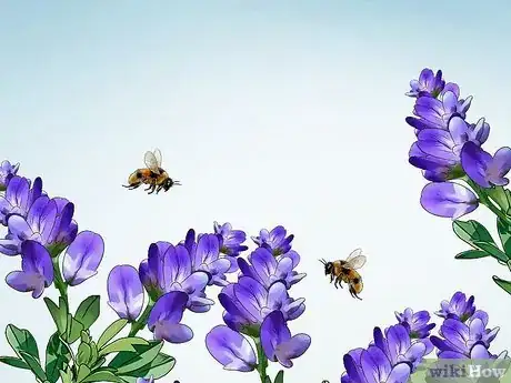Image titled Reduce Bee Poisoning from Pesticides Step 17