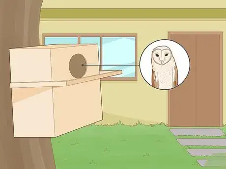 Image titled Get Rid of Rats Without Harming the Environment Step 9