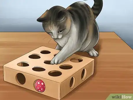 Image titled Stop a Cat from Drinking from Odd Places Step 9