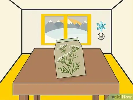 Image titled Grow Cumin Step 01