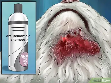 Image titled Deal with Stress‐Related Skin Problems in Cats Step 3