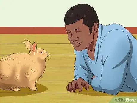 Image titled Care for Satin Angora Rabbits Step 16