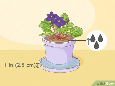 Image titled How Often Do You Water an African Violet Step 3