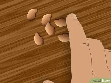 Image titled Save Watermelon Seeds for Planting Step 3