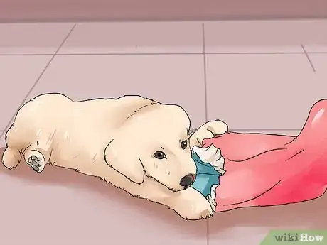 Image titled Fill a Dog's Stocking for Christmas Step 12