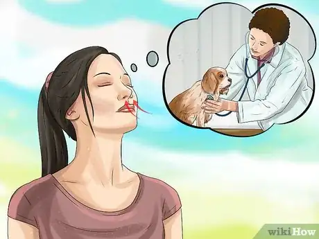Image titled Prepare Your Dog for the Vet Step 13