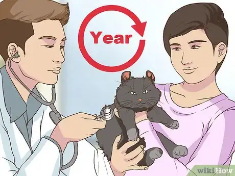 Image titled Care for an American Curl Cat Step 11