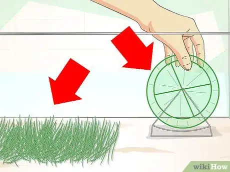 Image titled Set up a Gerbilarium Step 4