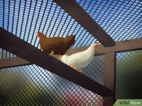 Image titled Reduce Flies in a Chicken Coop Step 2
