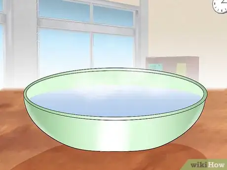 Image titled Keep a Conure Groomed Step 2