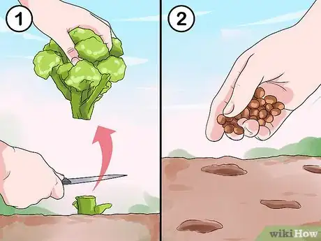 Image titled Grow Vegetables in Small Gardens Step 7