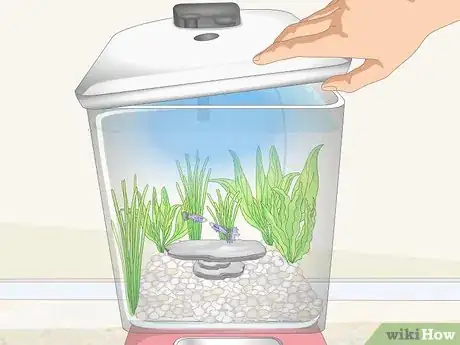 Image titled Make a Gumball Machine Fish Tank Step 25