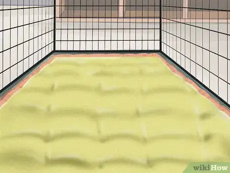 Image titled Care for a Ferret Step 2